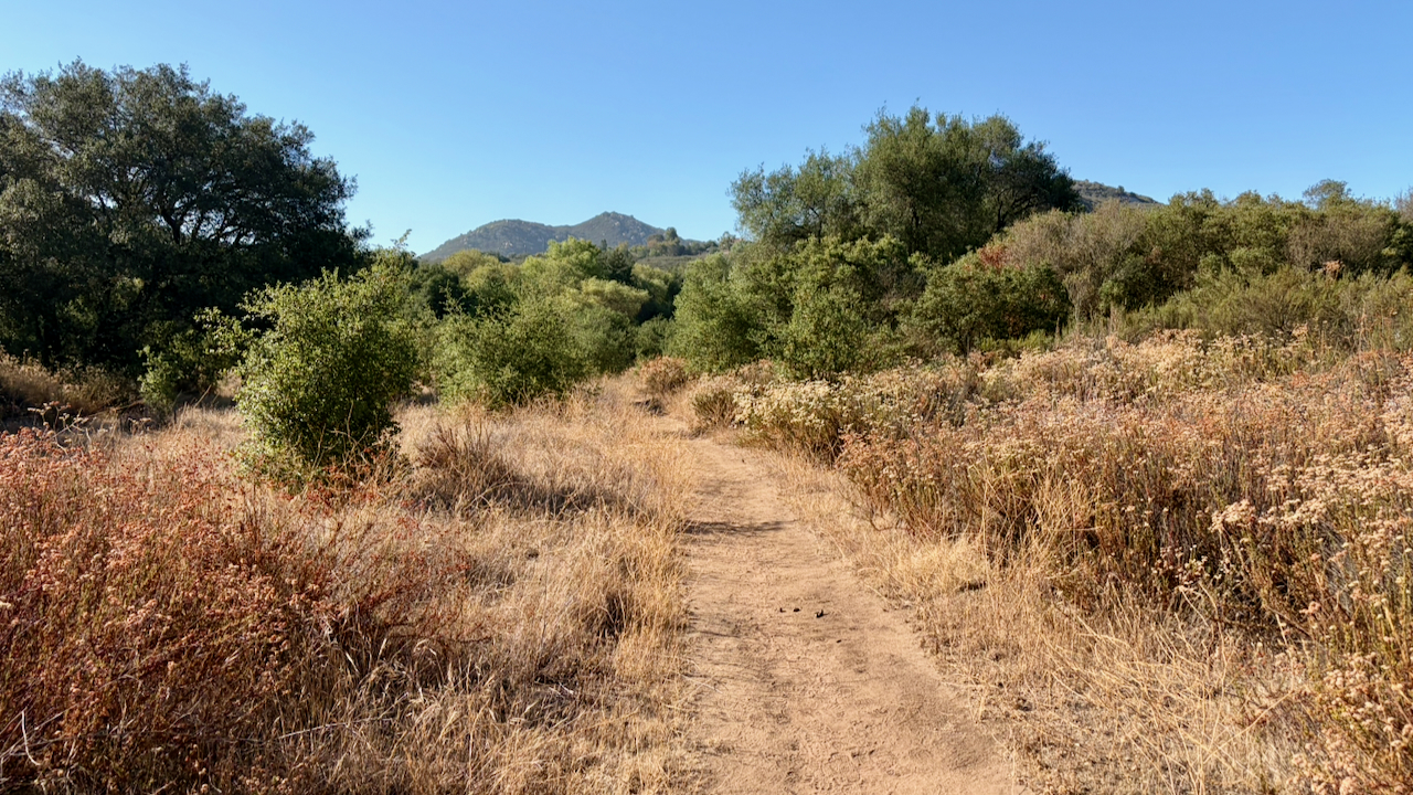 Trail View