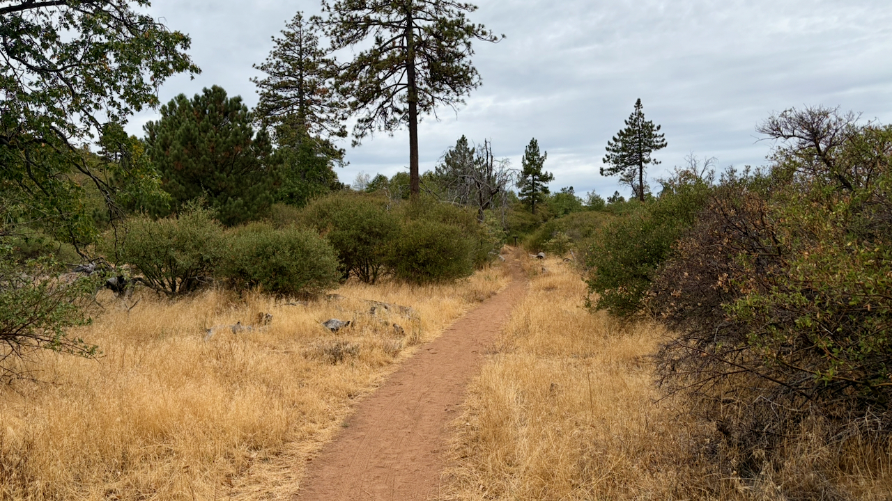 Trail View