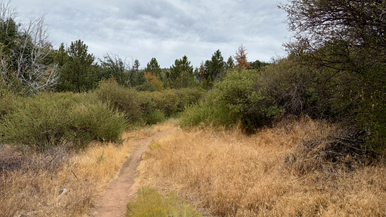 Trail View