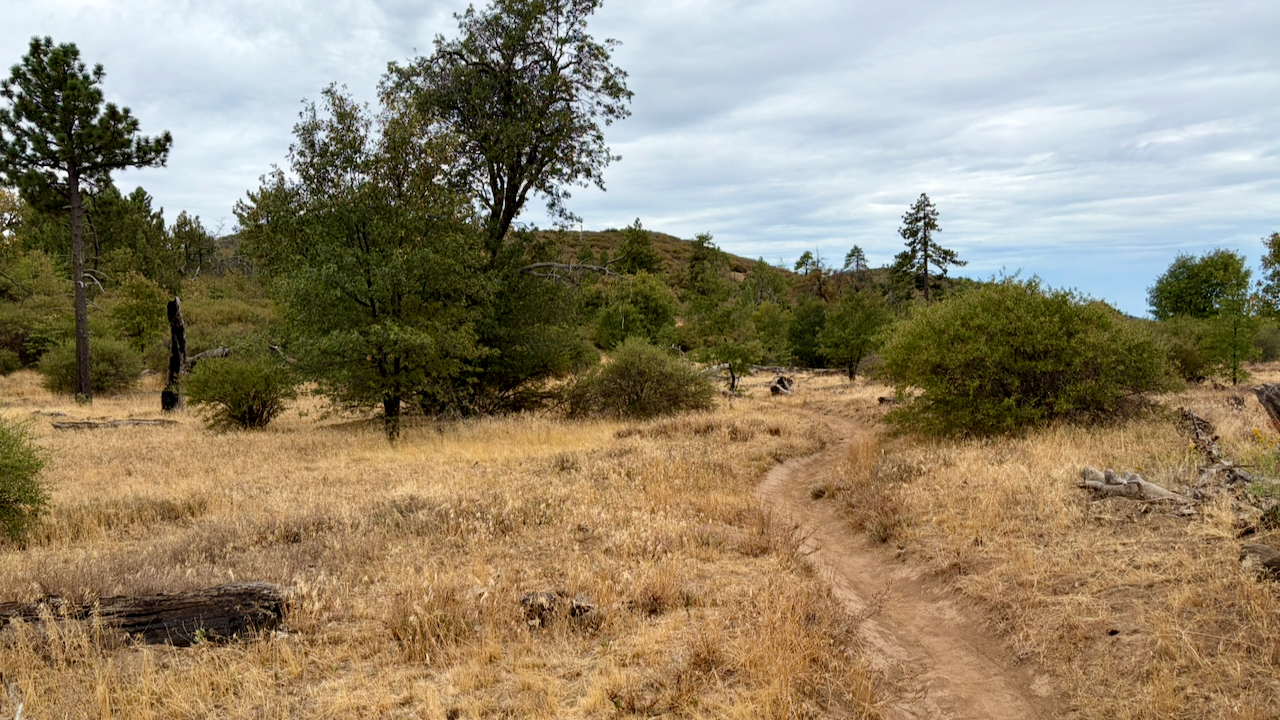 Trail View