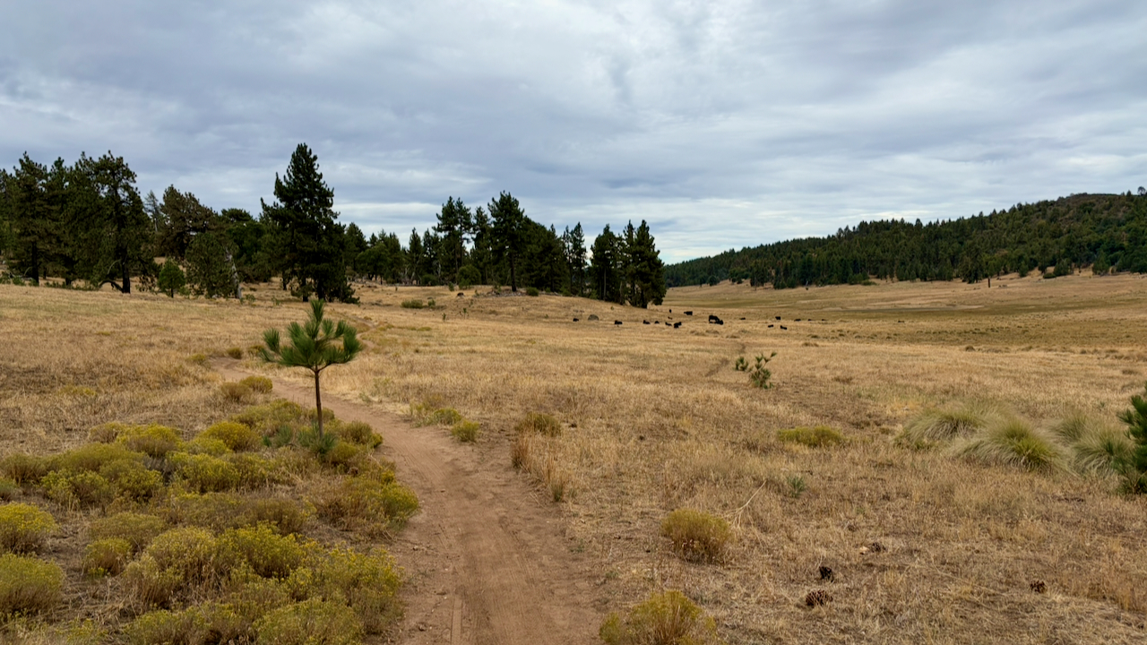 Trail View