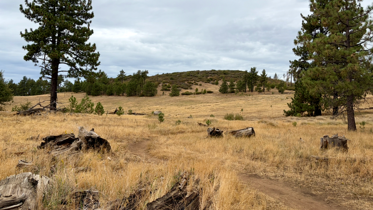 Trail View
