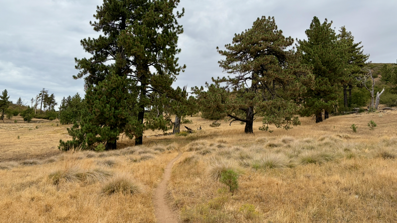 Trail View