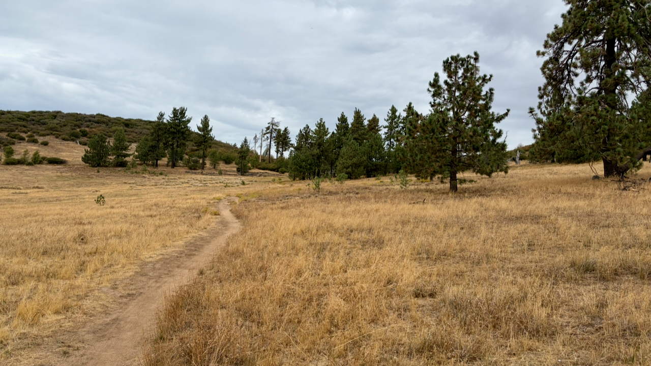 Trail View