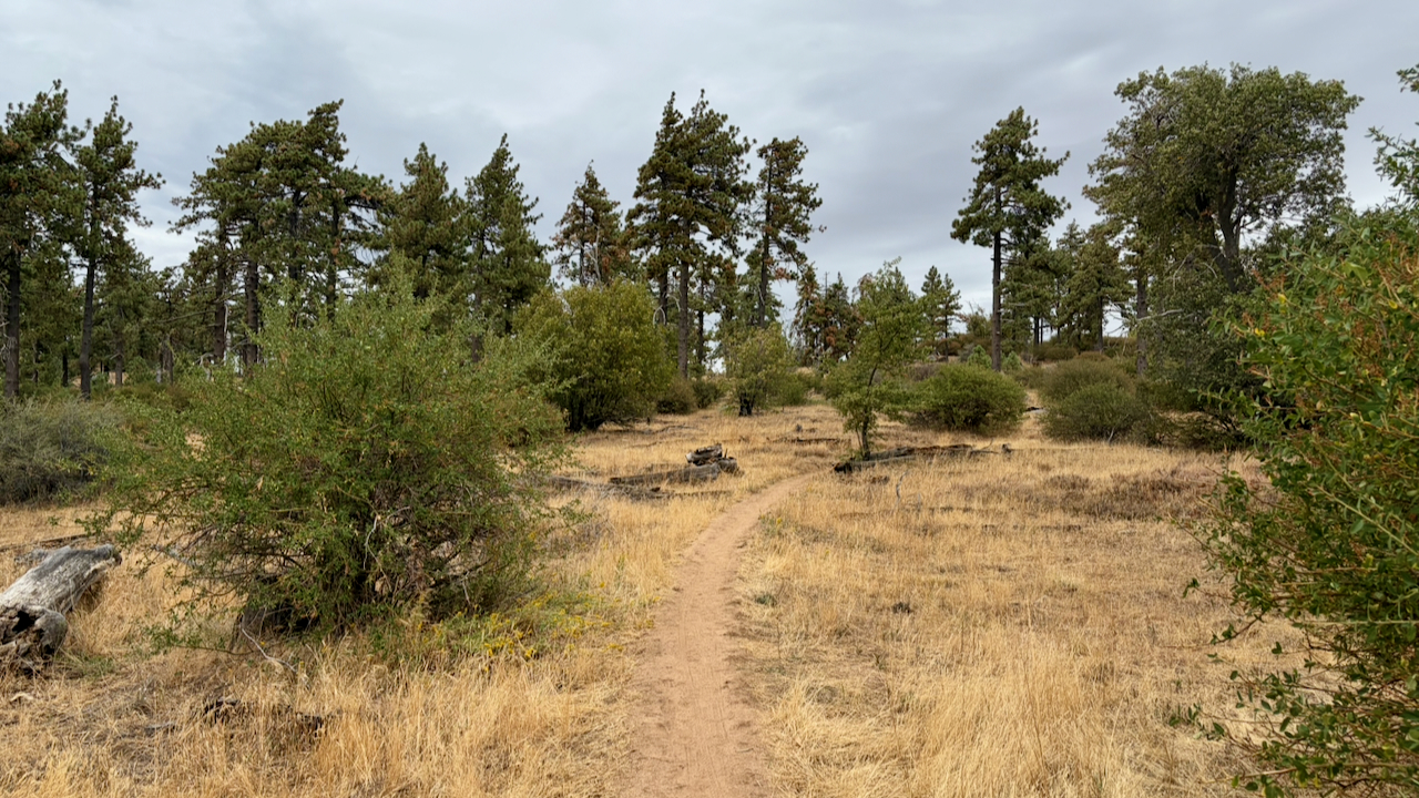 Trail View