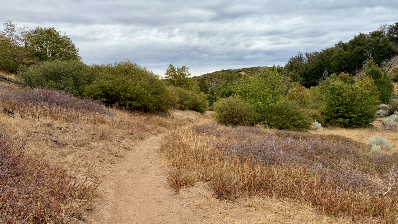 Trail View