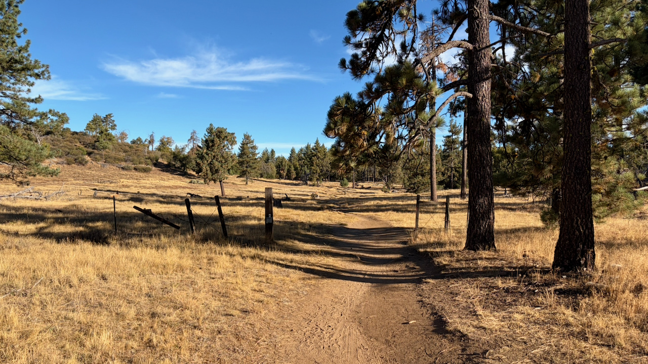 Trail View