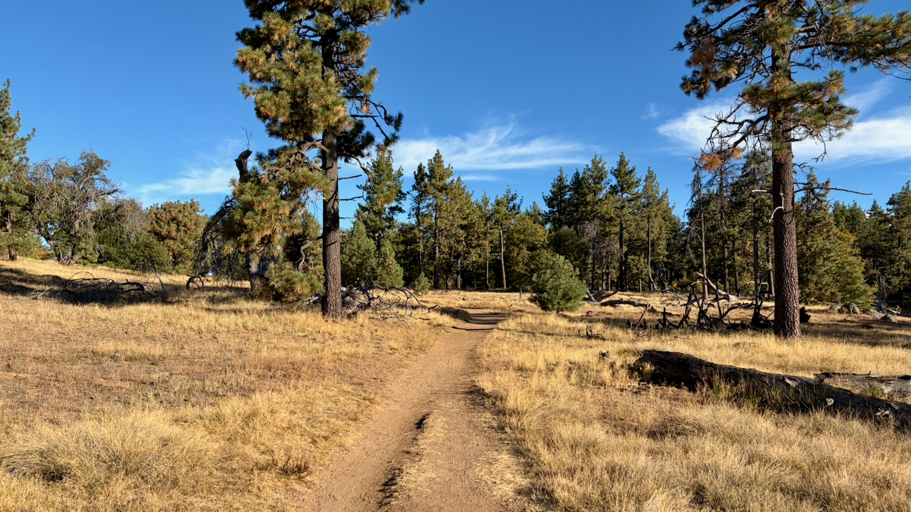 Trail View