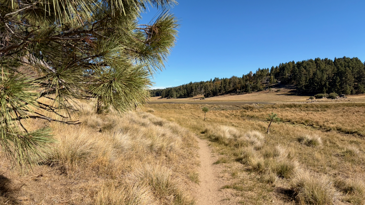 Trail View