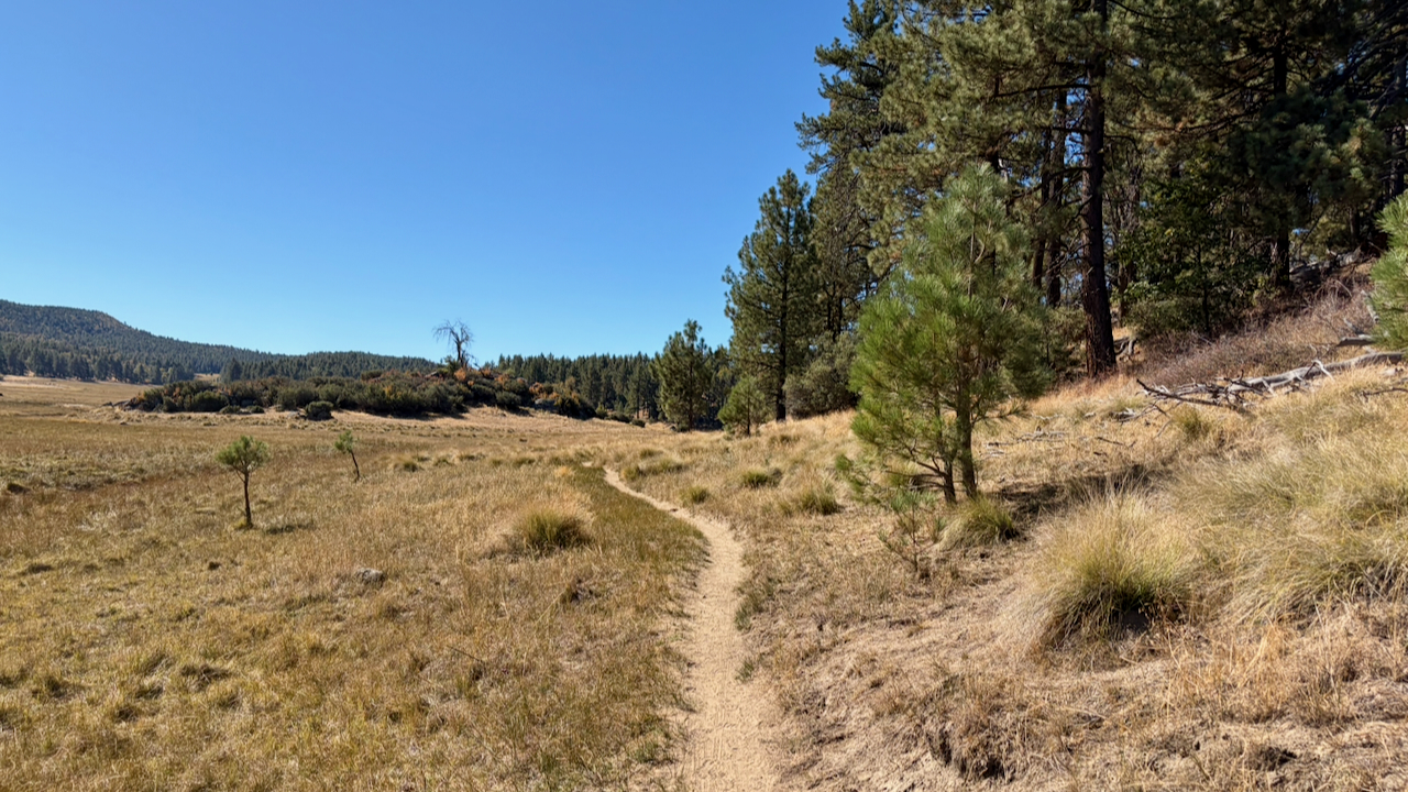 Trail View