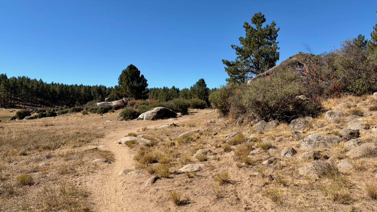 Trail View