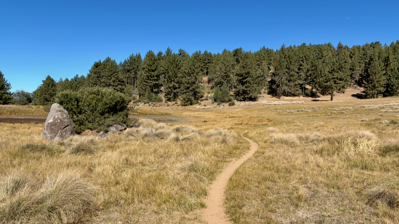 Trail View