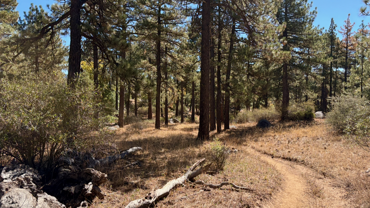 Trail View