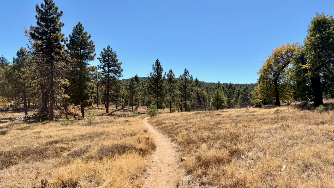 Trail View
