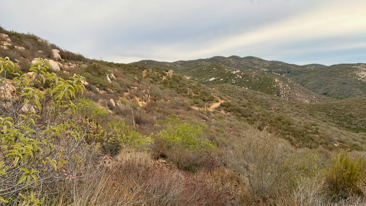 Overlook