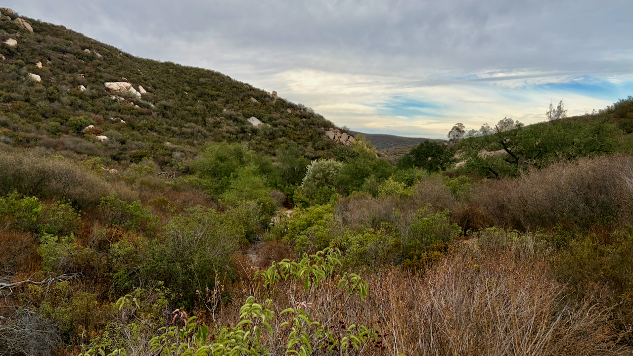 Overlook