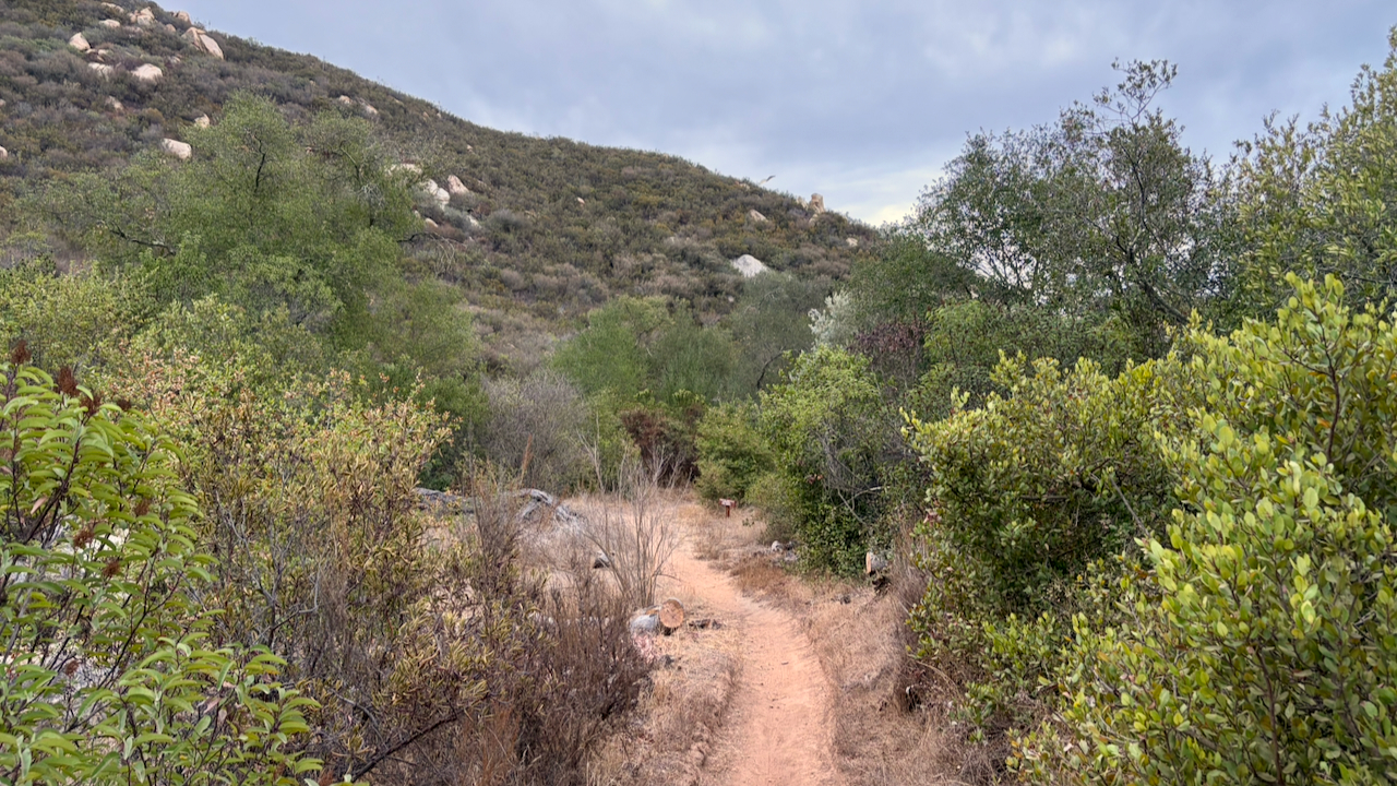 Trail View